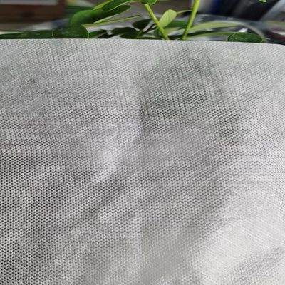 Revestimiento de bordado Interlining Film PVA bordado de GAOXIN de diferente grosor